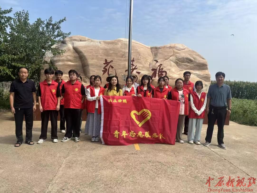 叶县洪庄杨镇团委组织青年志愿者开展 “青春聚力，情暖夕阳”志愿服务活动