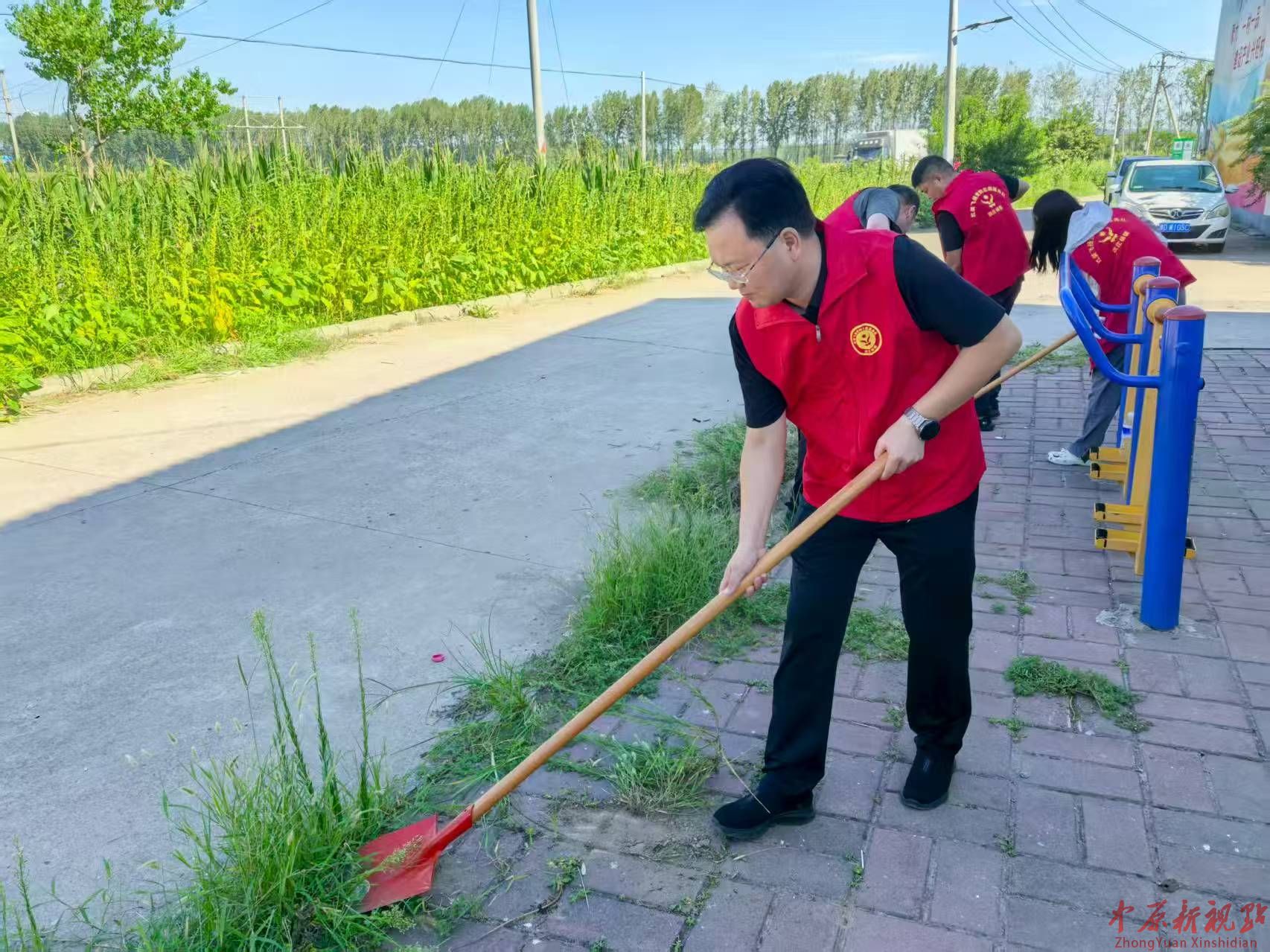 叶县洪庄杨镇：聚力整治优环境，党群同心促提升