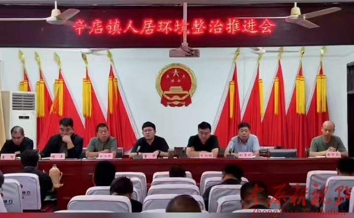 叶县辛店镇： 开展人居环境大整治