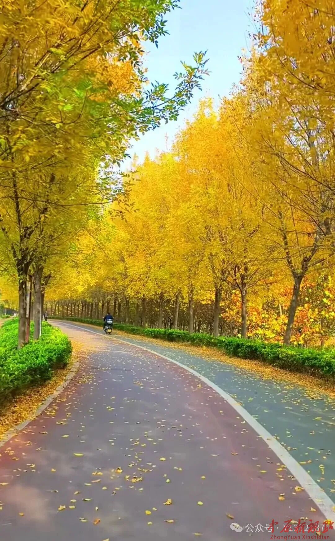 秋天喊你来野外看看