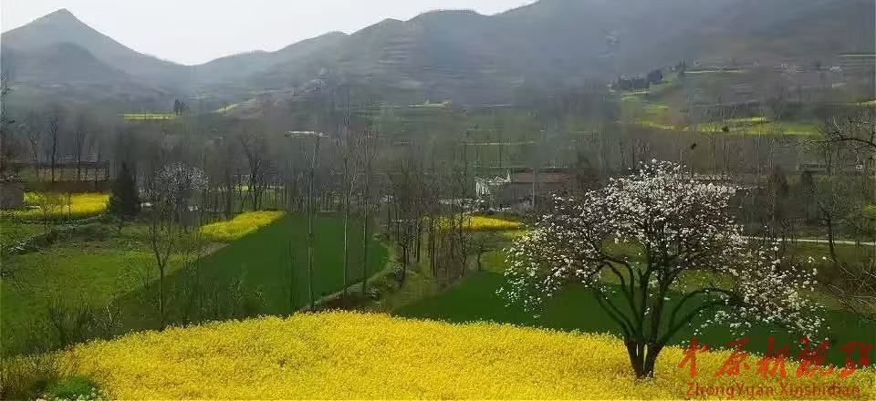 暮之忆