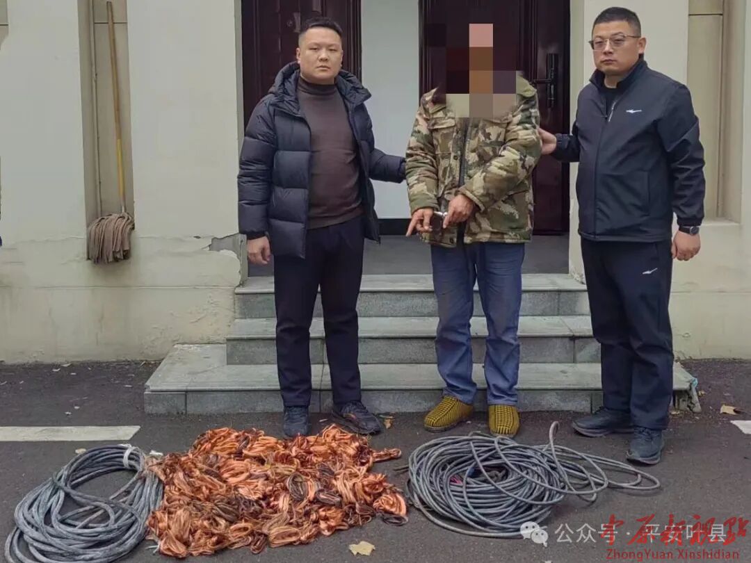 叶县警方一天破获系列盗割电缆案