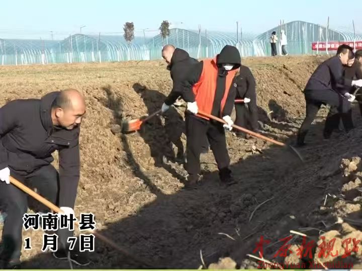 叶县昆阳街道 ：党建引领兴水利  干群共治润良田