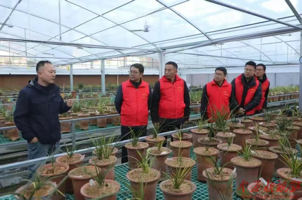 河南科技大学应用工程学院赴卢氏徐家湾乡 开展科技服务