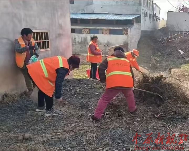 叶县洪庄杨镇：党建引领优环境  人居整治焕新颜