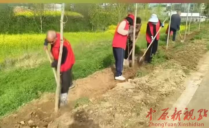 叶县邓李乡: 捐赠苗木添新绿   共建和美新乡村