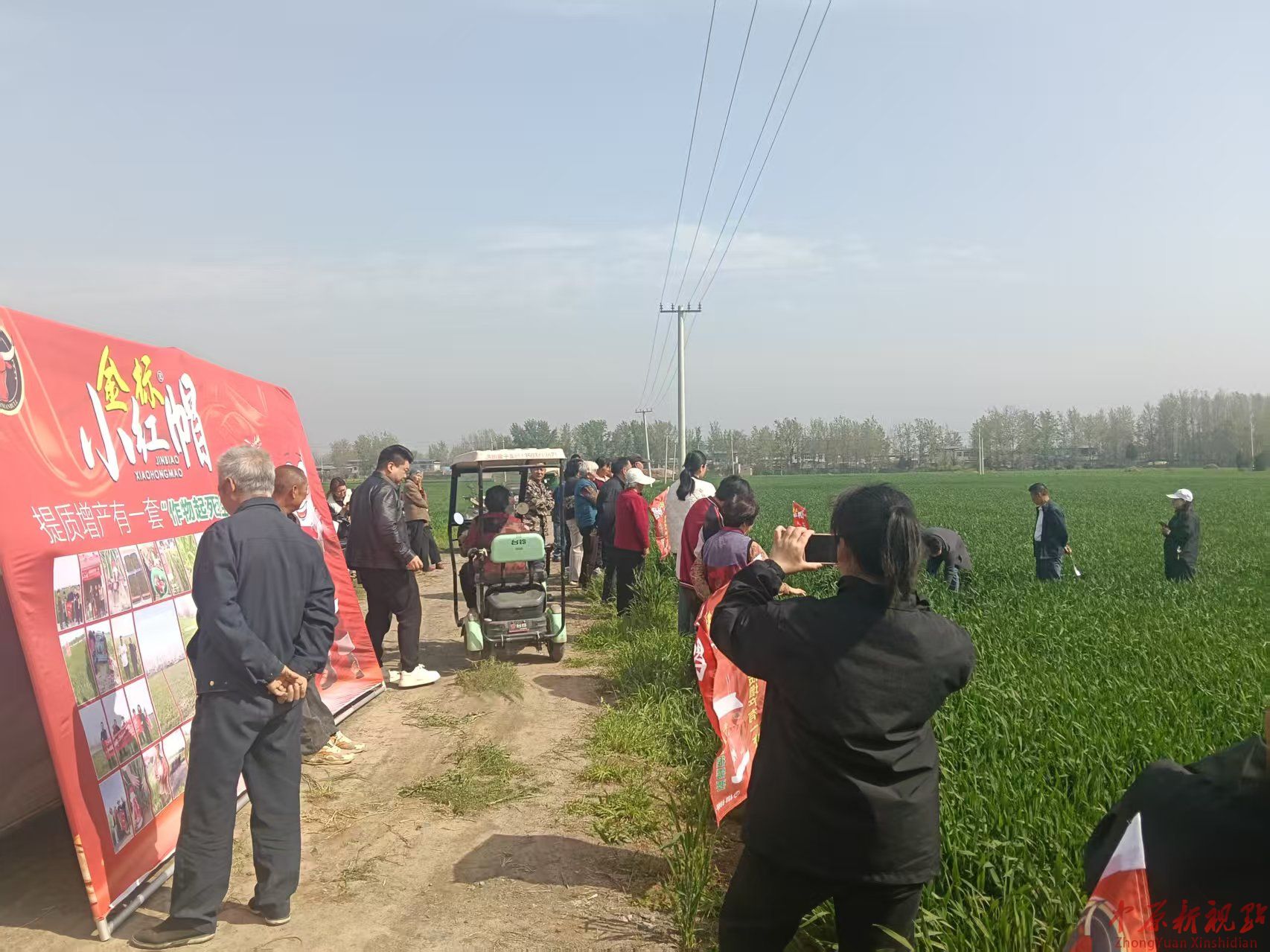技术赋能助丰收！公牛小红帽小麦种植技术交流会走进叶县洪庄杨镇