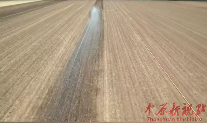 叶县洪庄杨镇：多措并举浇灌良田沃土   凝心聚力护航秋粮丰收